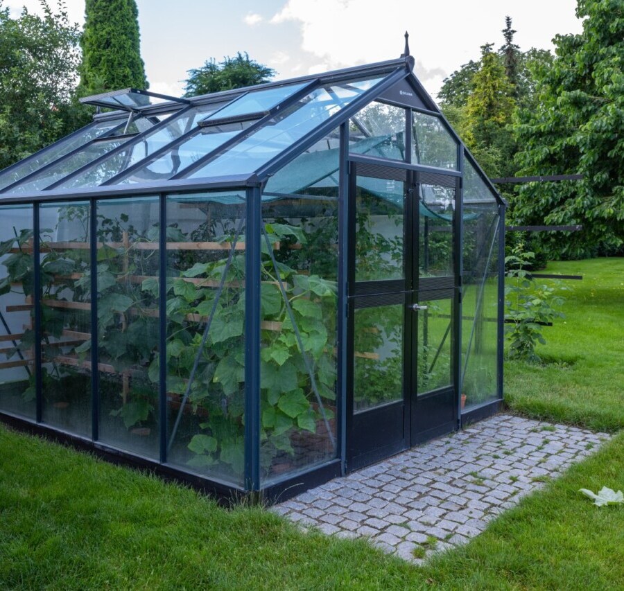 A,small,greenhouse,stands,in,a,garden